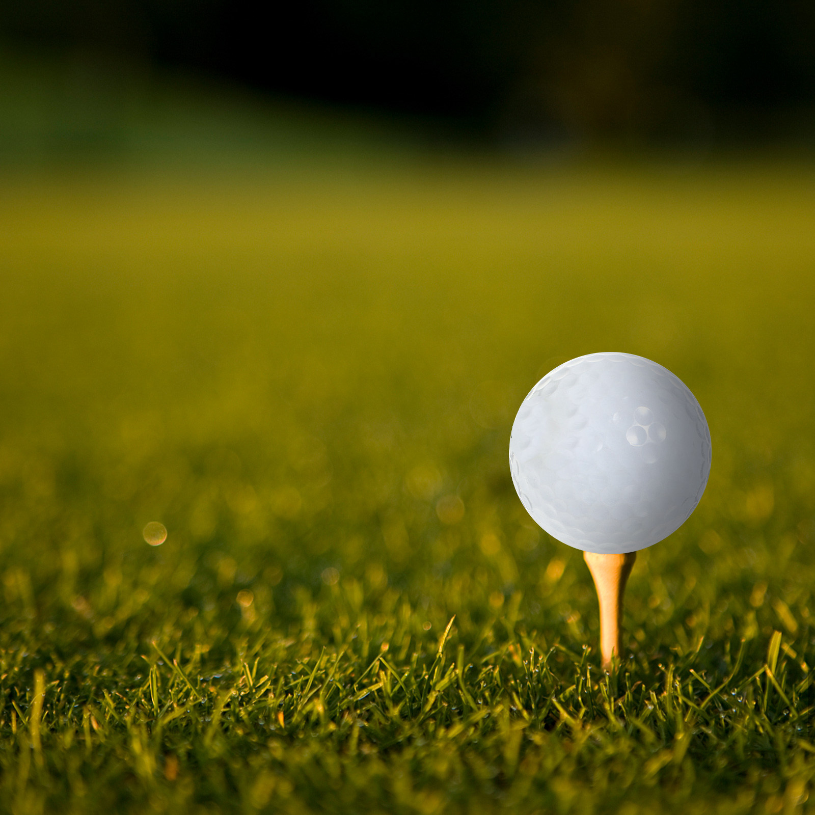 Indoor Practice Golf Balls Equ - Golf Equipment Beginners 评论和价格